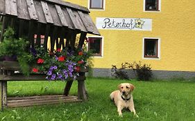 Peterhof – komm als Gast&geh als Freund